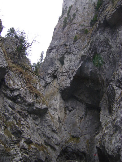 DSC07677 - VIDRARU-BICAZ