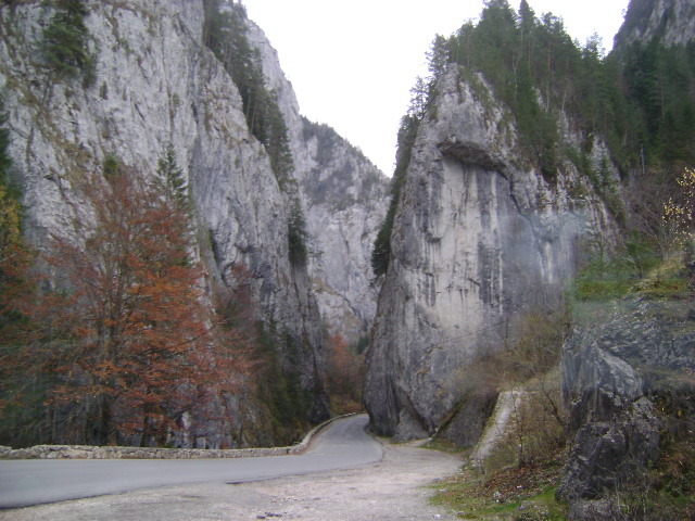 DSC07668 - VIDRARU-BICAZ