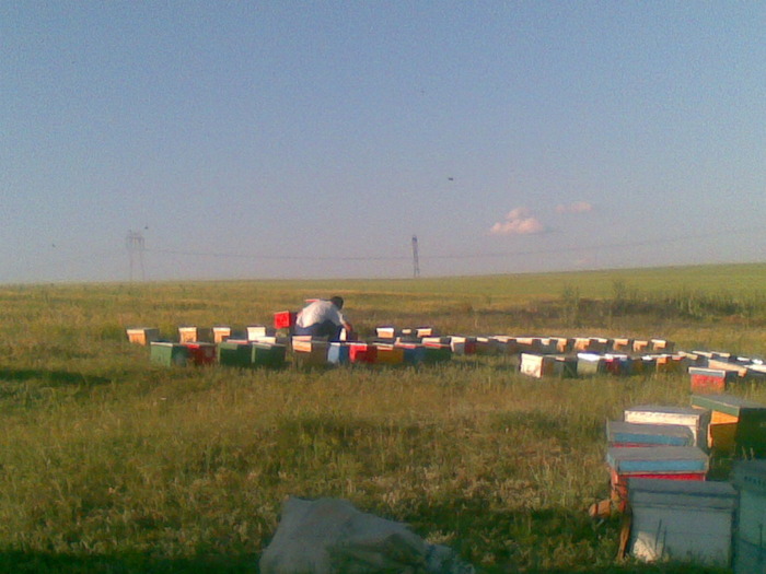 04062010