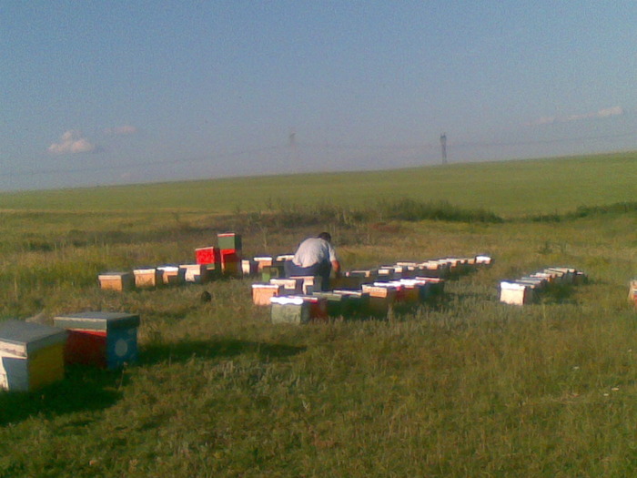 04062010(001)