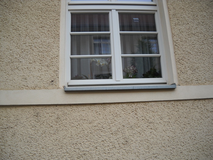 geamul meu dinspre gradina