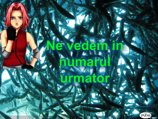 pizap_com90_337636624462902551275890975593 - Revista Naruto nr 1