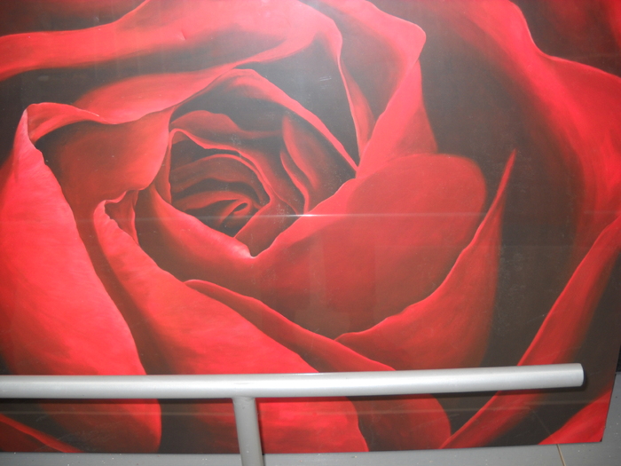 ....siiiiiiii.....iar flori, la ordinea zilei