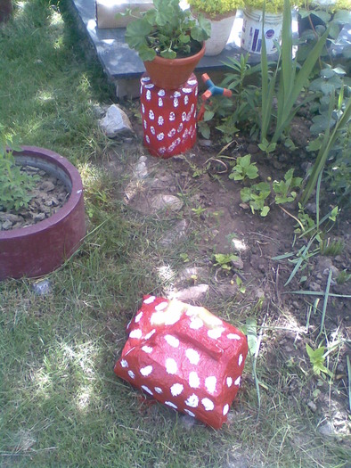 Sorel007 - gradina 2010