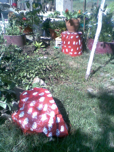 Sorel011 - gradina 2010