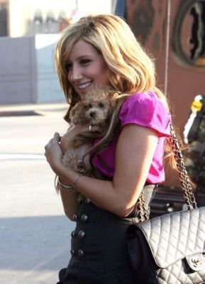 ashleyashleytisdale1245