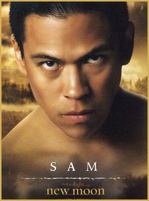 sam-card - Twilight