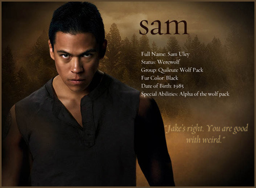 sam-bio-900 - Twilight