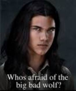 nmmmm - Twilight