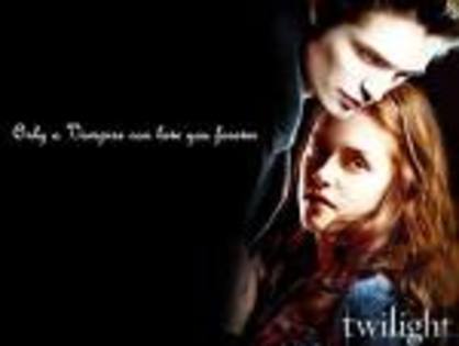 ewy - Twilight