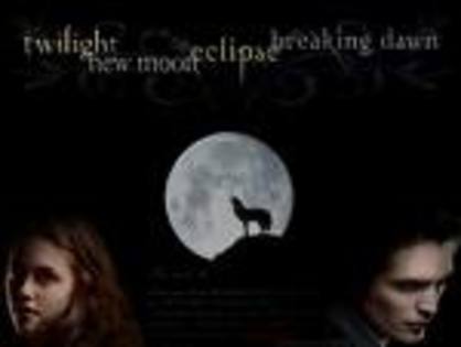 e - Twilight