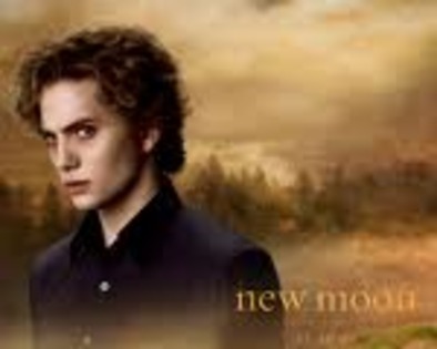 CAH8ZYBP - Twilight
