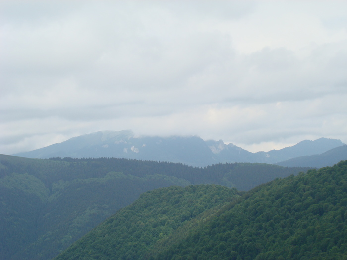 DSC05484