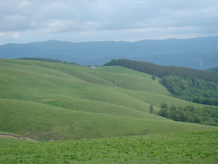 DSC05508