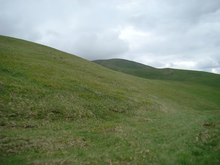 DSC05510