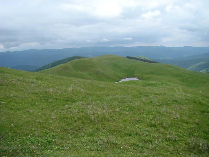 DSC05511