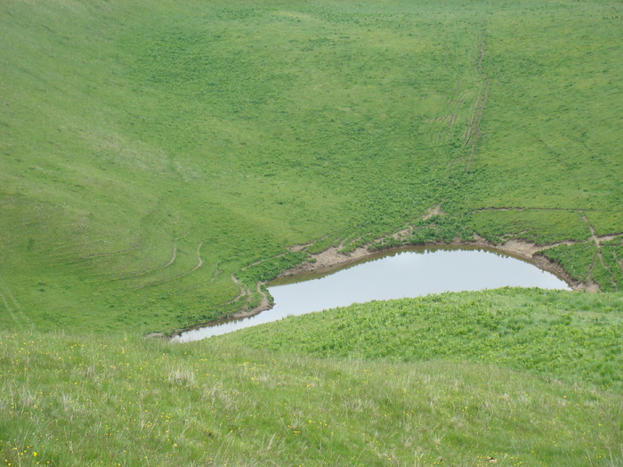 DSC05512