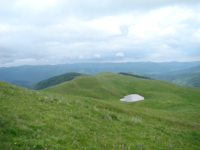 DSC05513