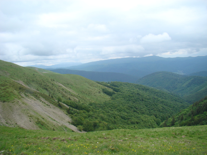 DSC05516