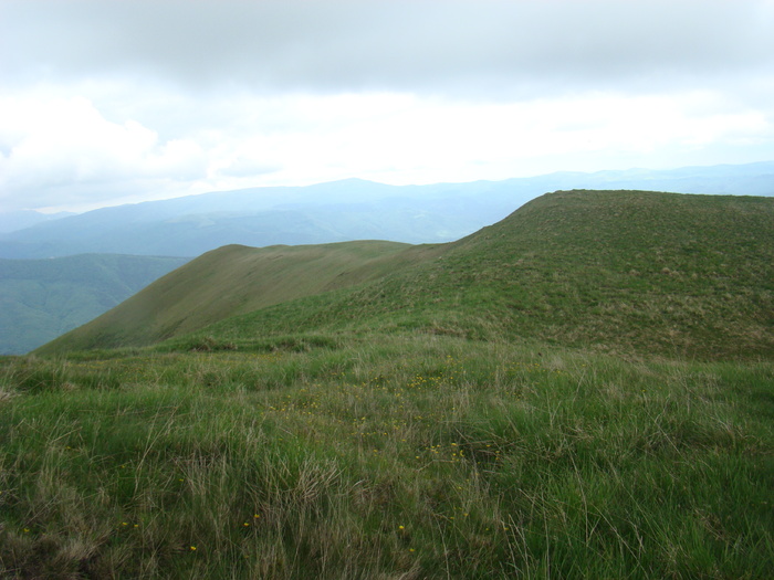 DSC05525