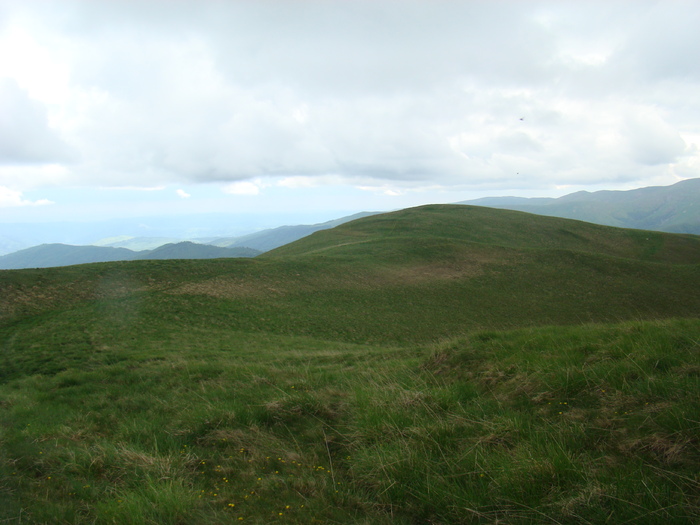 DSC05526