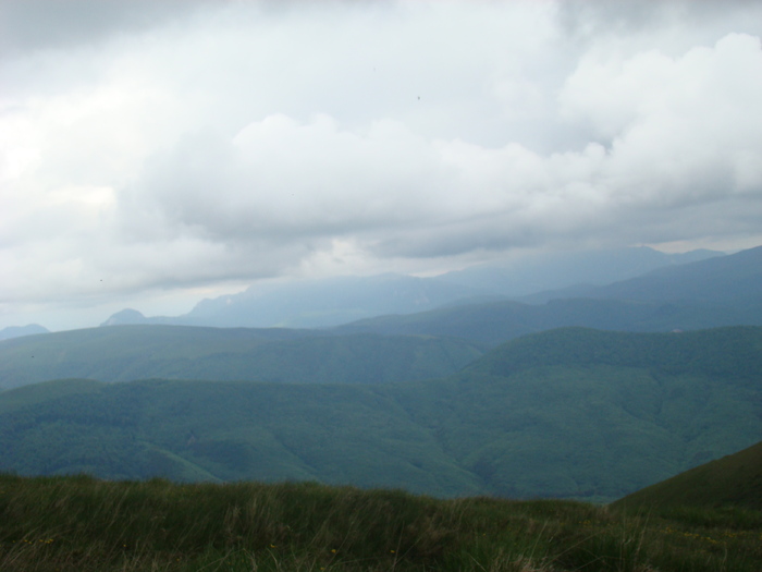 DSC05527