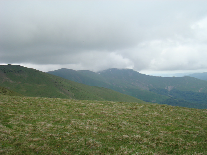 DSC05531