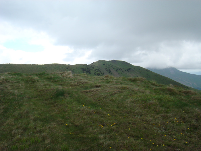 DSC05533