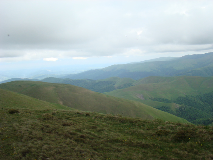 DSC05536