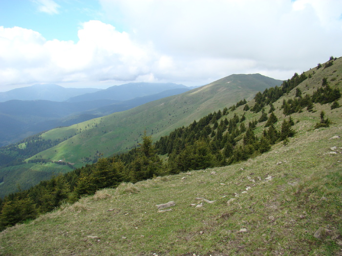 DSC05537