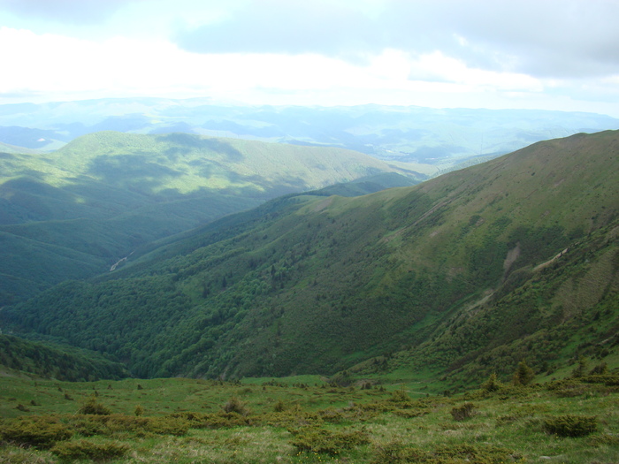 DSC05540