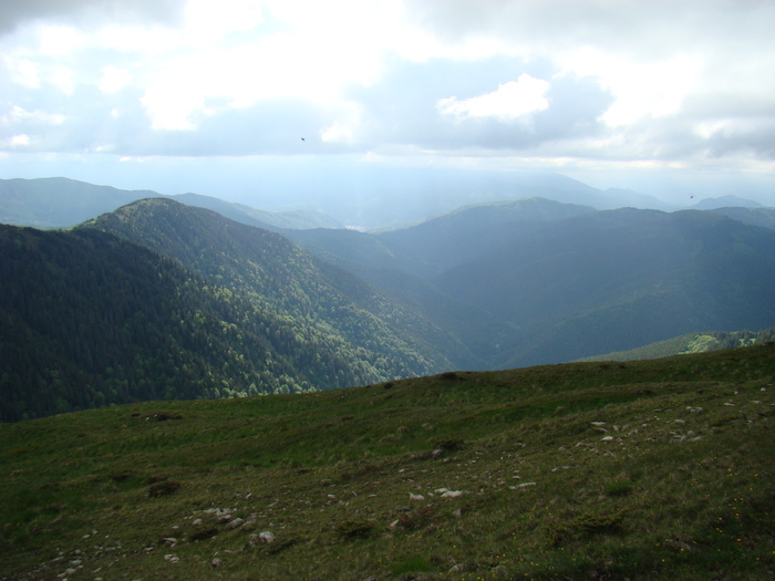 DSC05542