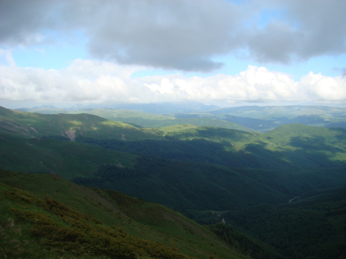 DSC05545