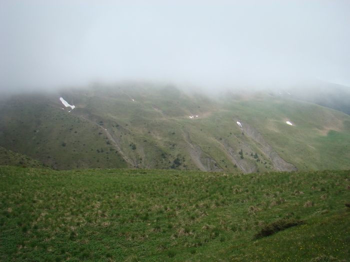 DSC05546