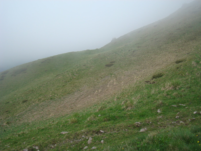 DSC05548