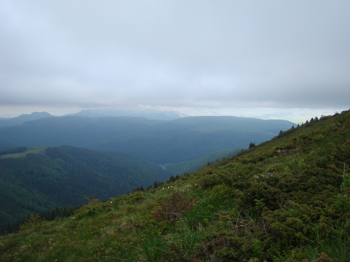 DSC05549
