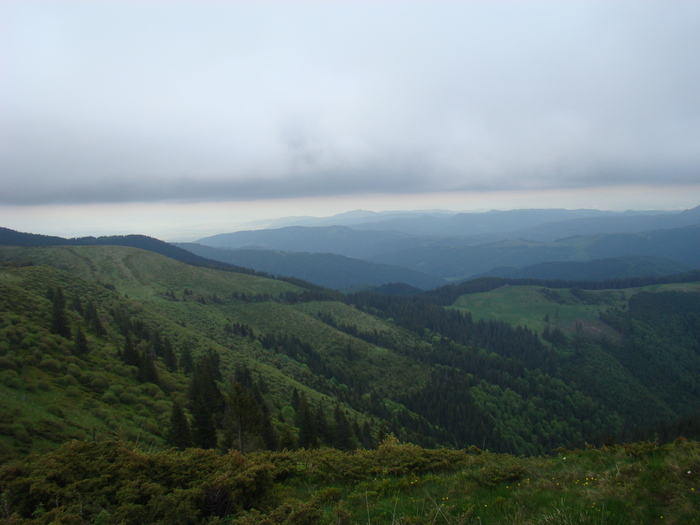 DSC05550