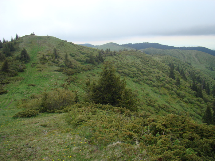 DSC05552