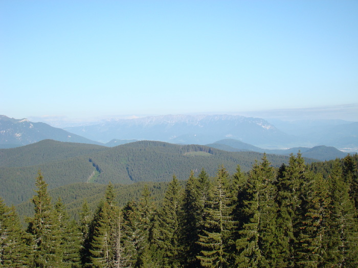 DSC05571