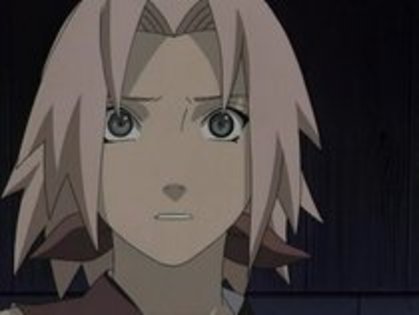 14672309_MCGWJKQTJ