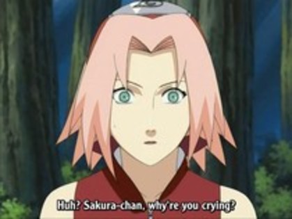 15397820_PDYFMZNMP - Sakura Shippuden