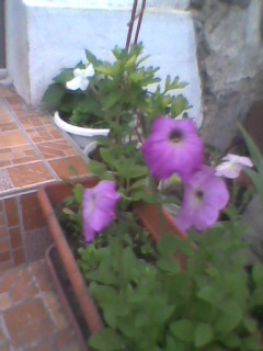 Imag0068
