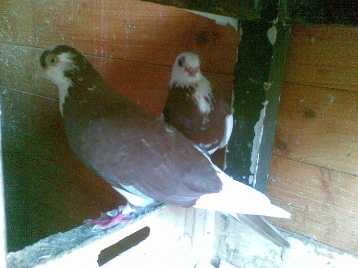 07062010(031) - poze 2010