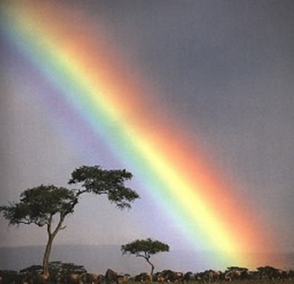 rainbow7 - diverse
