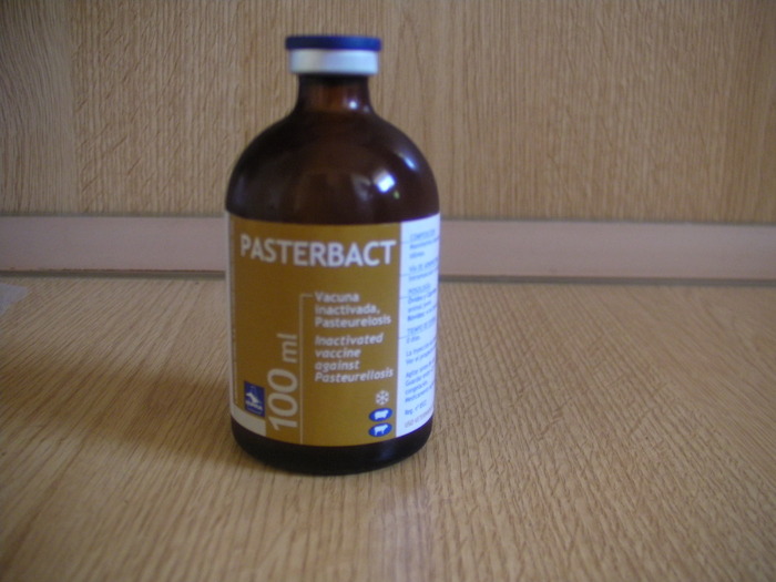 SANY0002 - Vand vaccin PasterBact