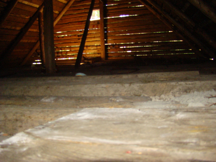 DSC05692