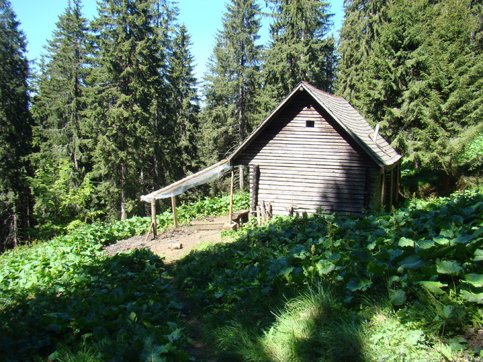 DSC05693