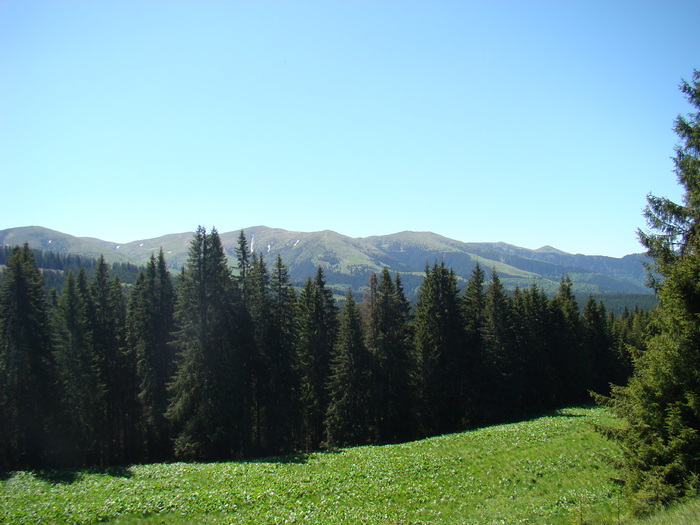 DSC05694