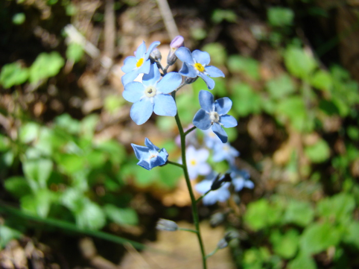 DSC05704