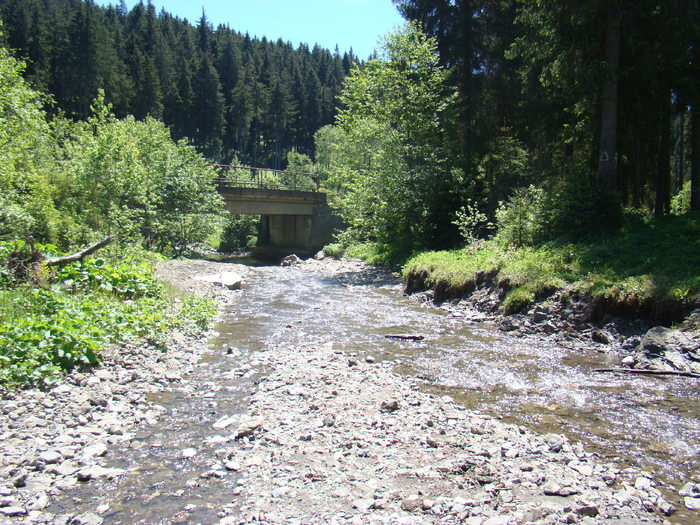 DSC05710